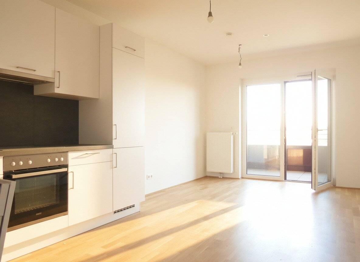 Q5 at the PARK Dream view spacious 2-room with east balcony