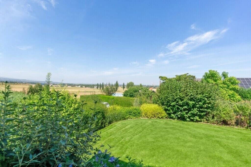 Ausblick