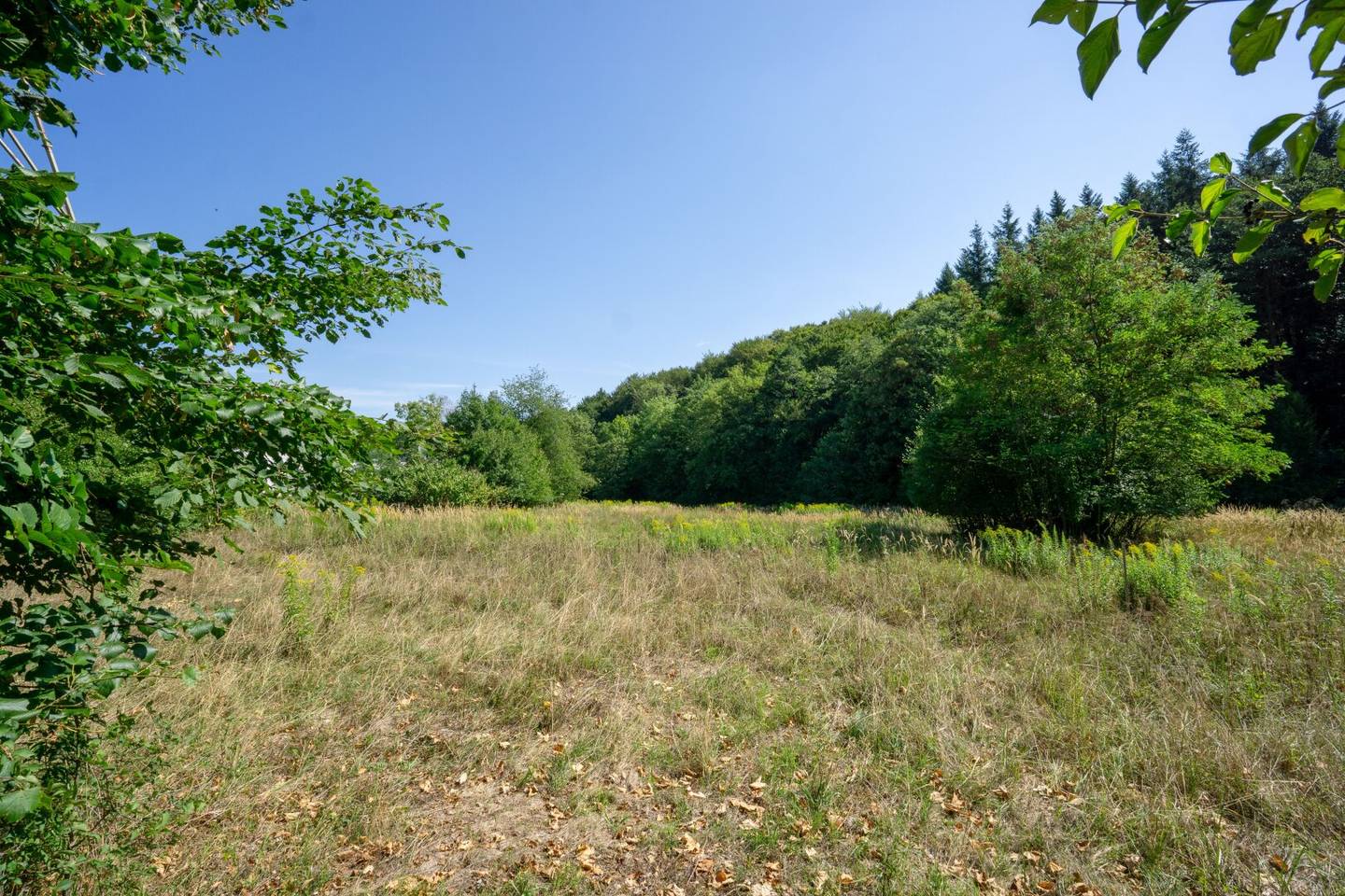 Immobilienbild 3