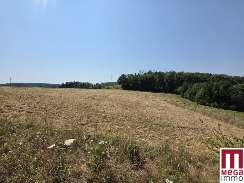 Sonniges Baugrundstück in naturnaher Lage – Ihr Platz für das Eigenheim