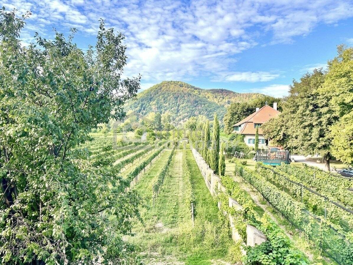 Charmante Pension in Dürnstein – eine seltene Gelegenheit im Herzen der Wachau