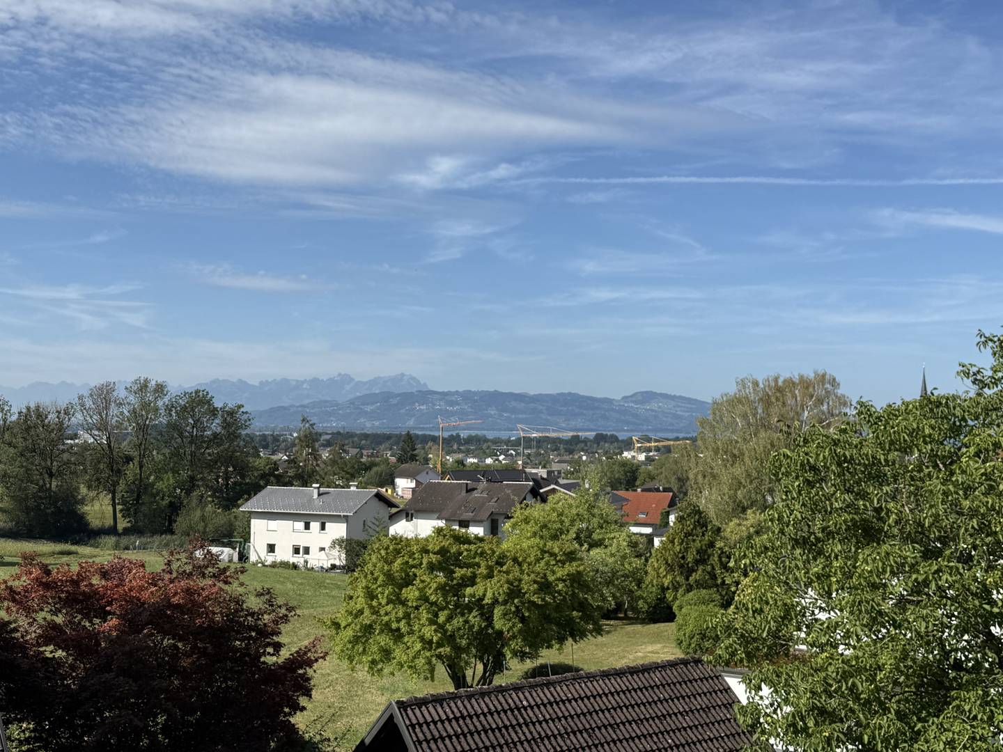 Altbaucharme familienwohnung mit großem Garten