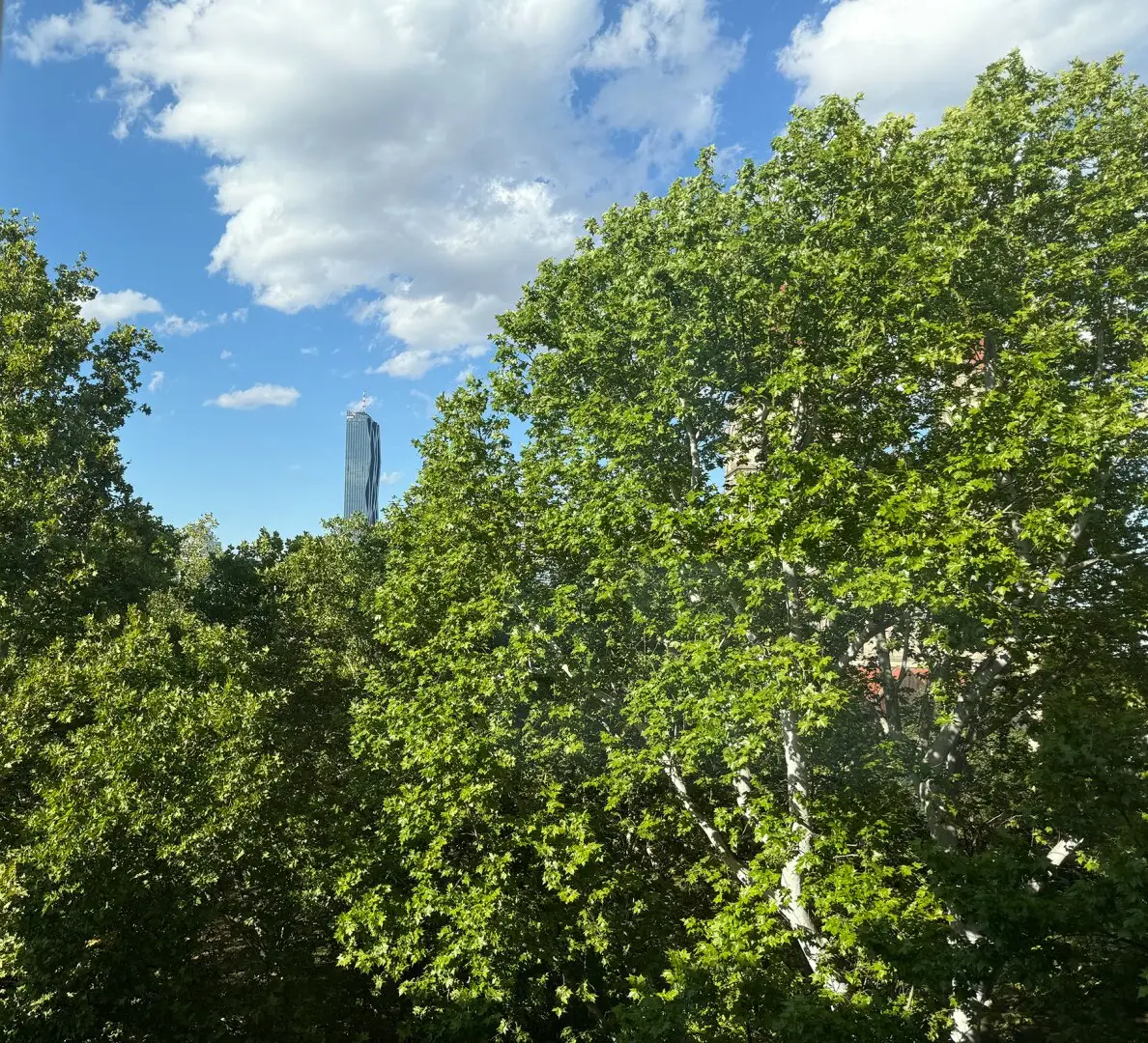 Small gem at Mexikoplatz – 1-room apartment with a view to fall in love with