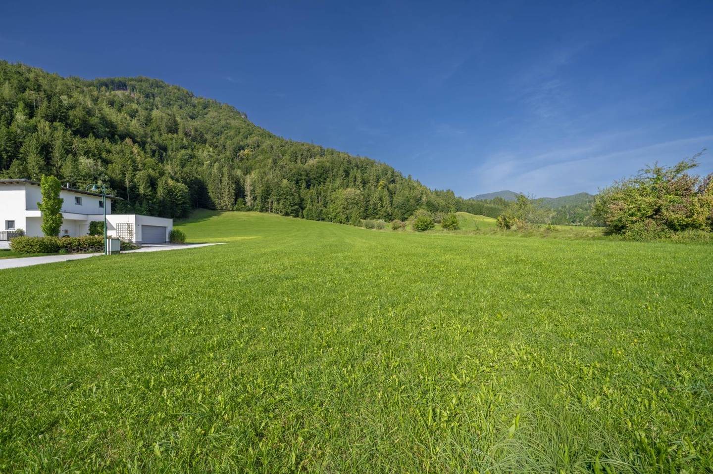 Zentrumsnahe Lage mit grünem Blick Apartment