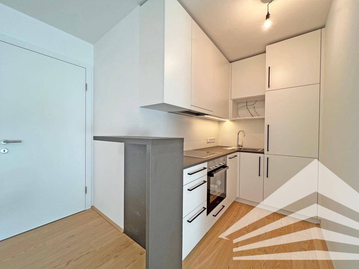 Bright apartment with large loggia in prime city center location