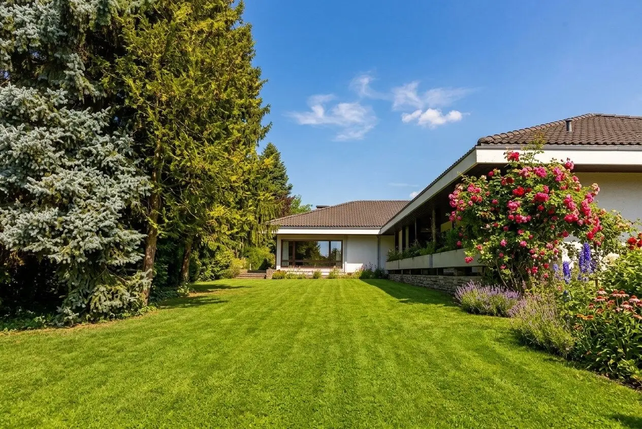 Coming soon: distinguished architect-designed house in the town centre