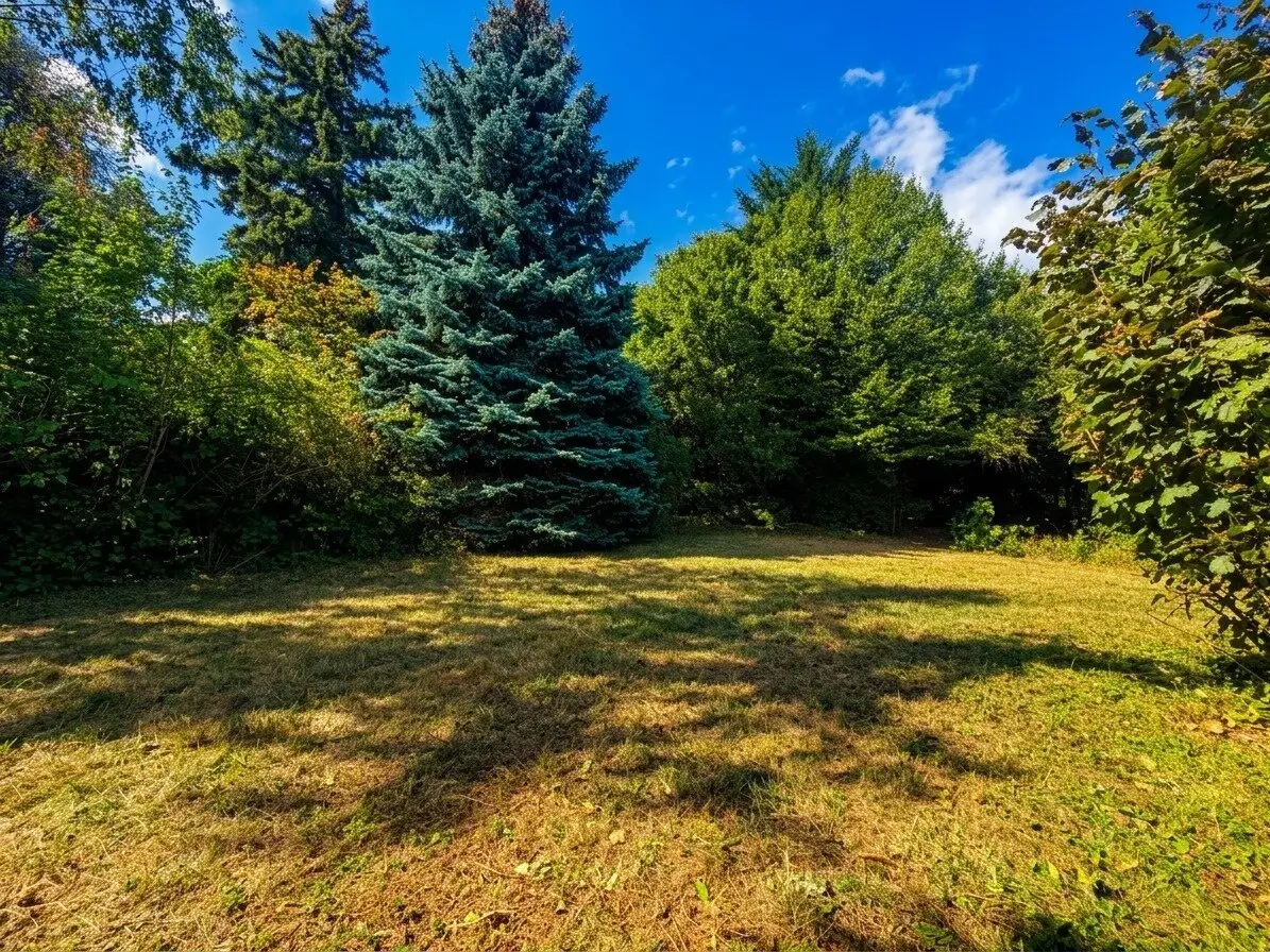 Attractive plot in Perchtoldsdorf, house with Vienna view potential