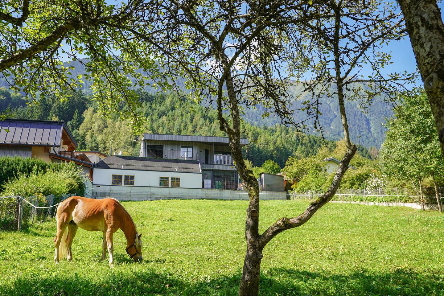 Peaceful apartment with semi detached build option and mountain view