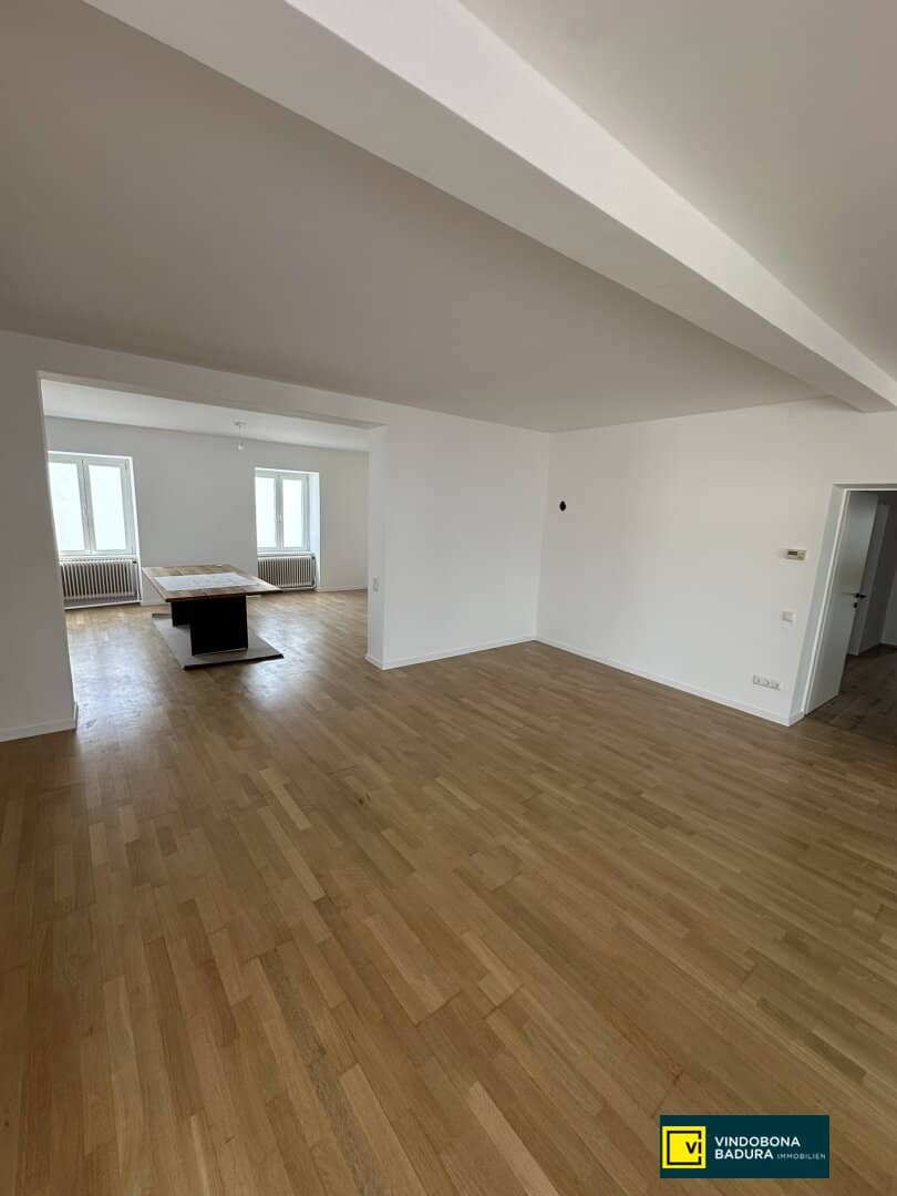 Spacious premises with splendid terrace in a quiet residential area