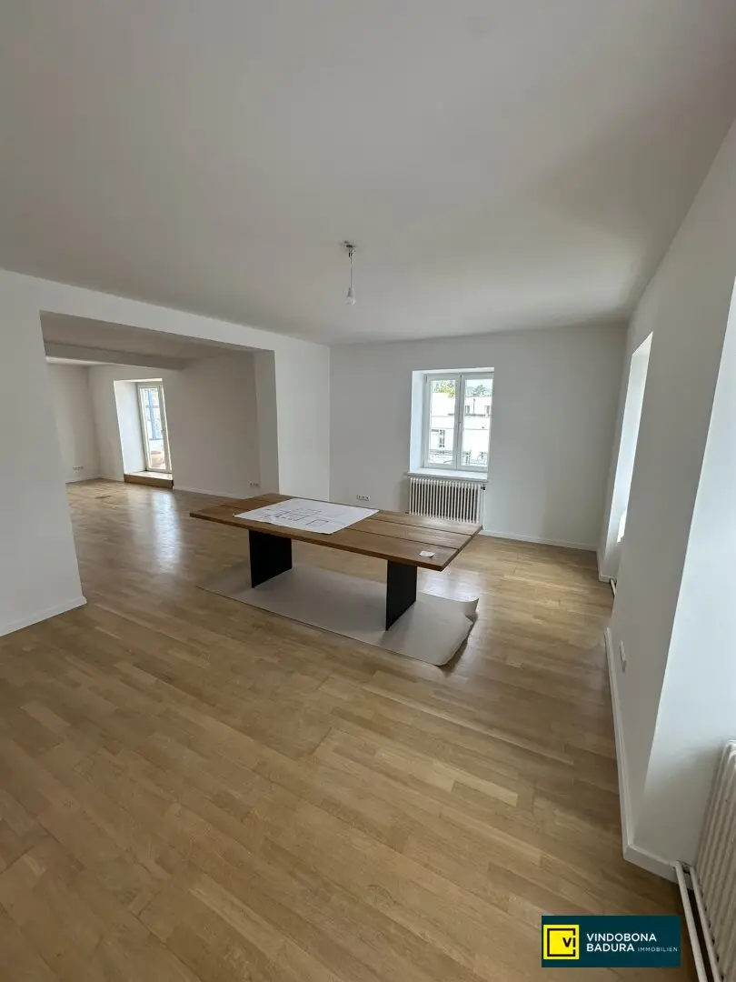 Spacious premises with splendid terrace in a quiet residential area