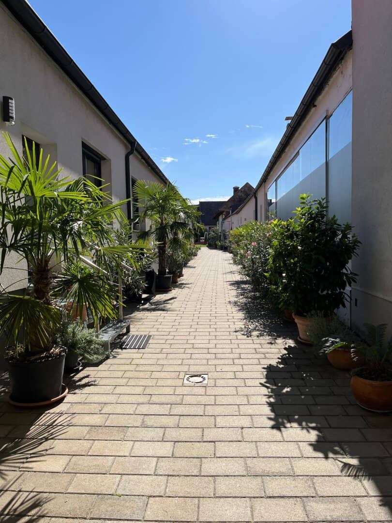 Charming holiday apartment with 30 m² in Weiden am See – for 1 year
