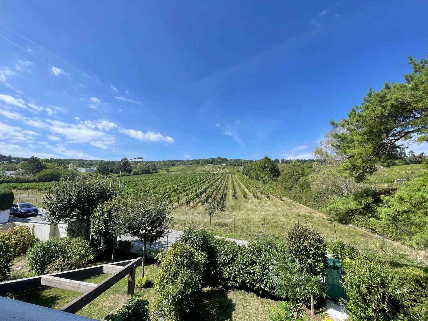 Wohnung mit großer Terrasse und Weingartenblick