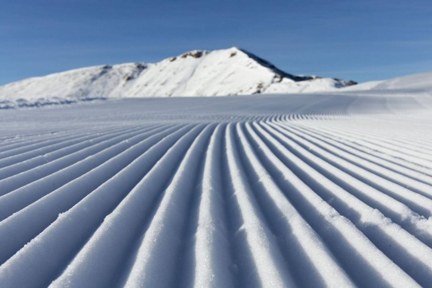 ...because the next winter is sure to come