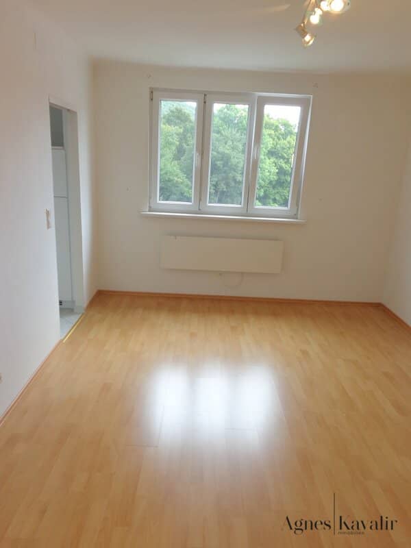 Immobilienbild 3