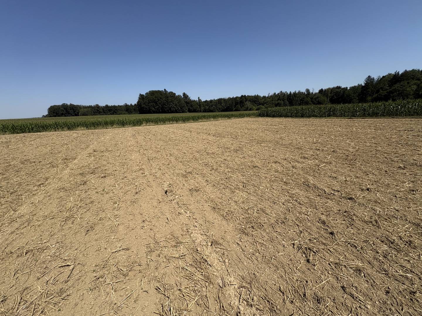 Ebenerdiges landwirtschaftliches Grundstück Wohnung