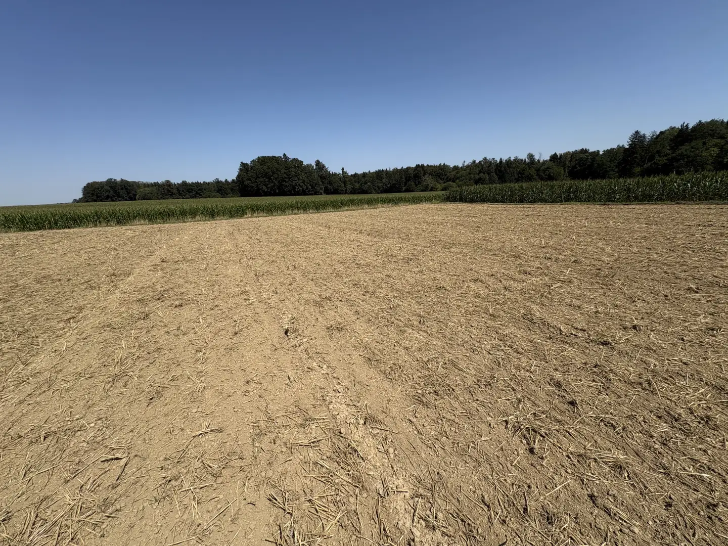Ebenerdiges landwirtschaftliches Grundstück Wohnung
