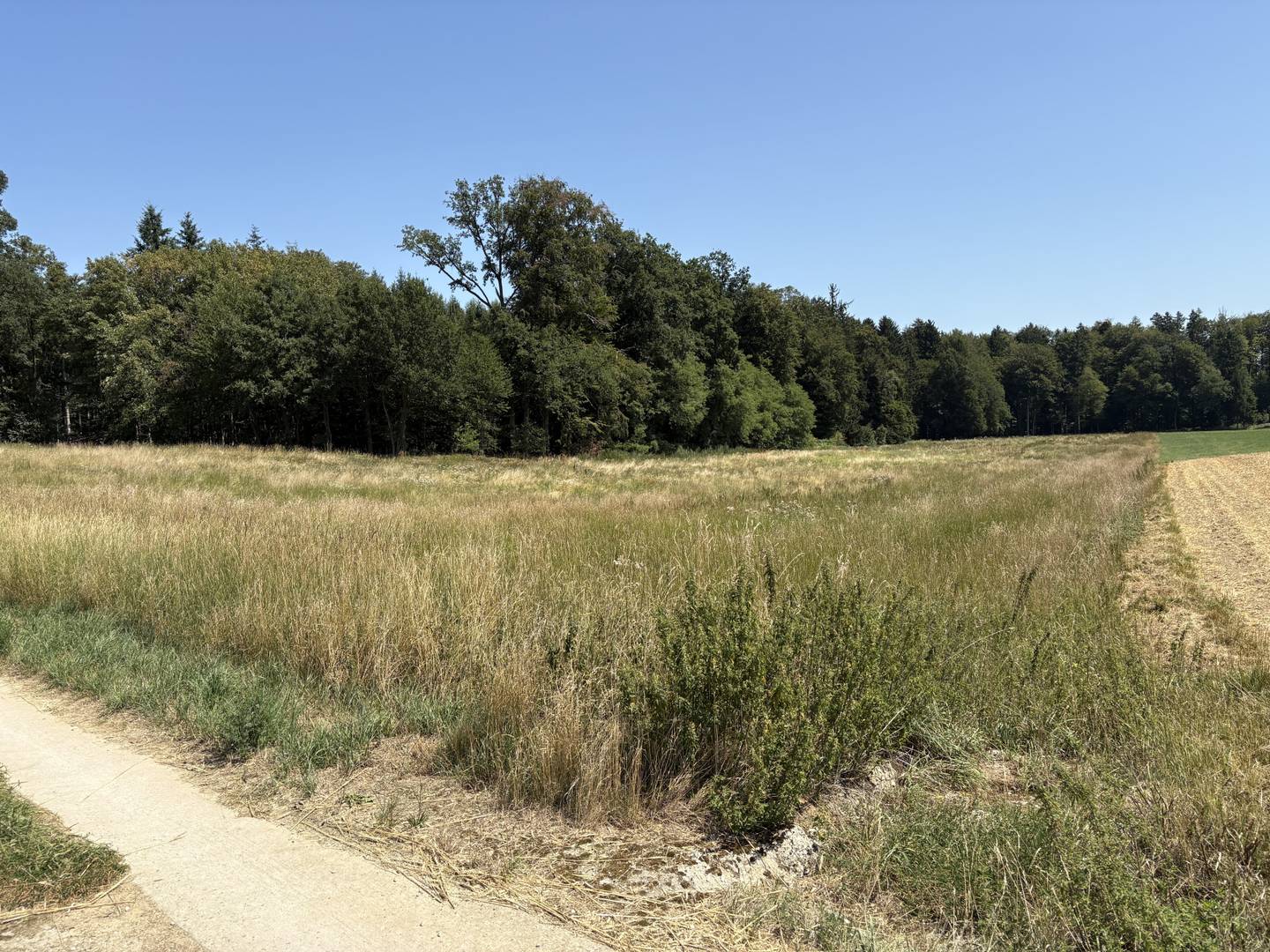 Ebenerdiges landwirtschaftliches Grundstück Wohnung