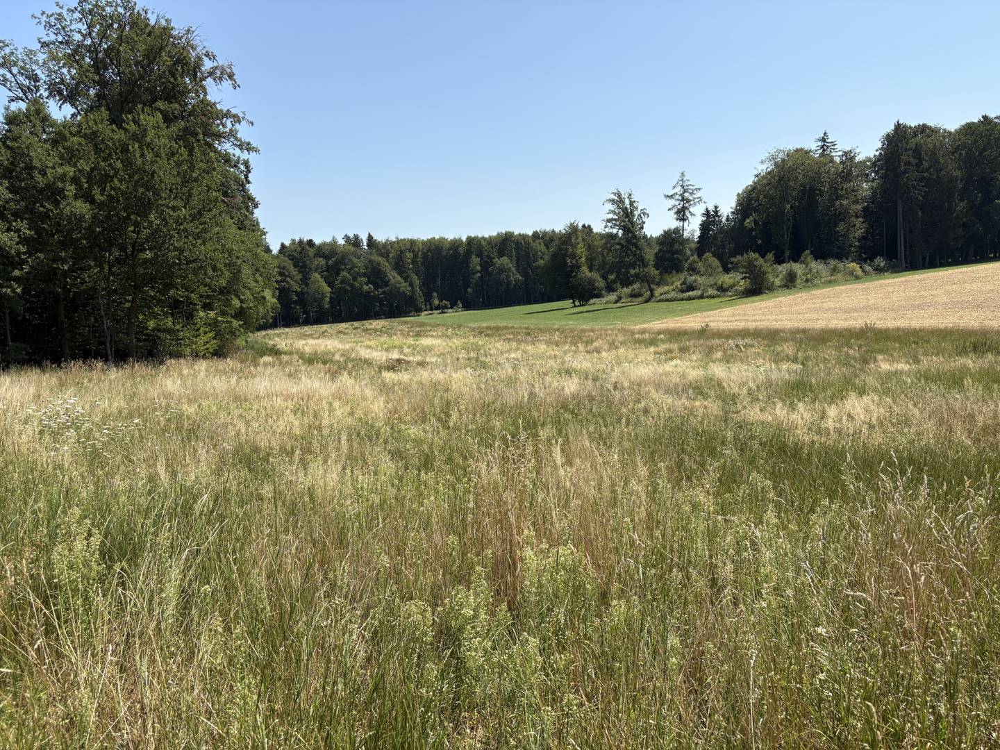 Ebenerdiges landwirtschaftliches Grundstück Wohnung