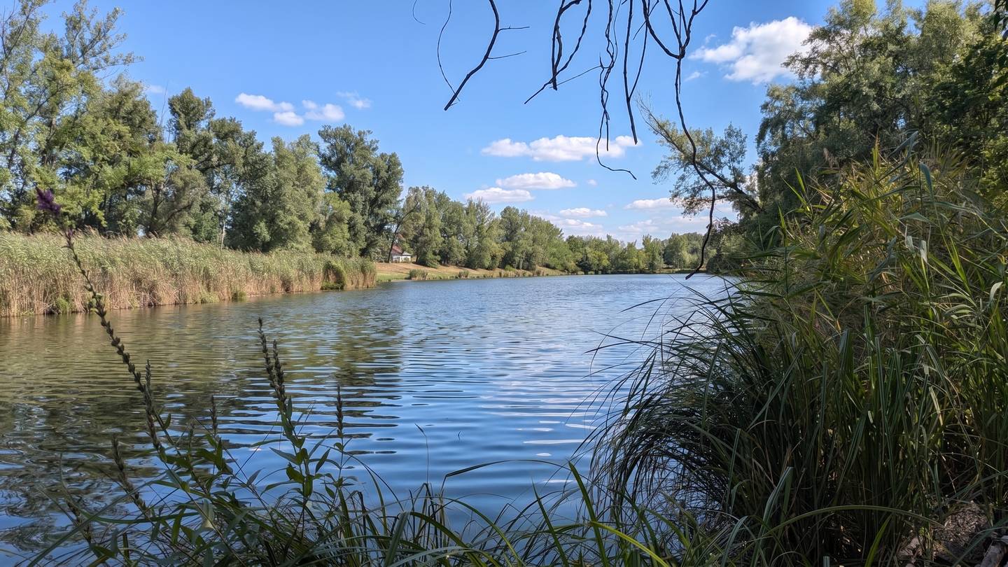 Wohnung im Grünen mit eigenem Wasserzugang