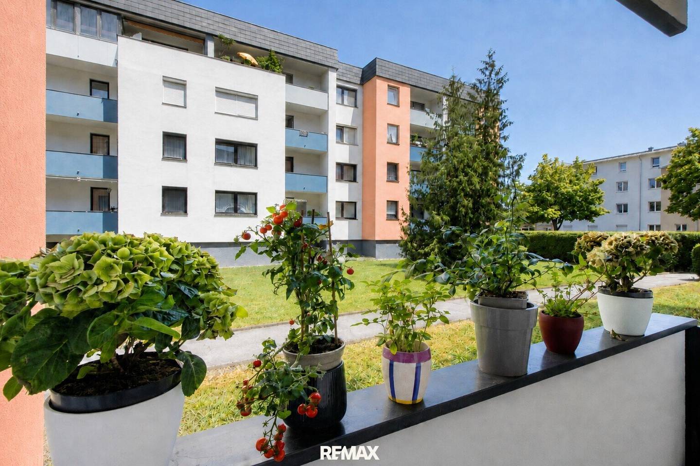 Open House am Samstag den 19. September 2026 von 10-12 Uhr - Alles in der Nähe – die Natur gleich nebenan!
