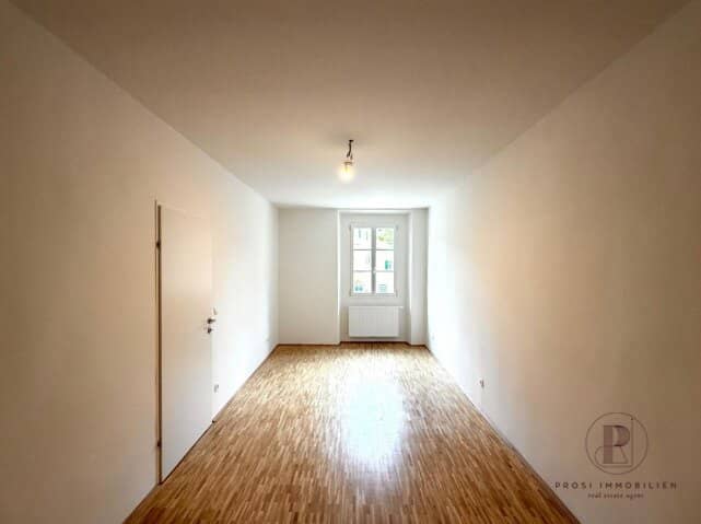 2-room apartment and kitchen (furnished) on the 1st floor at Lendplatz