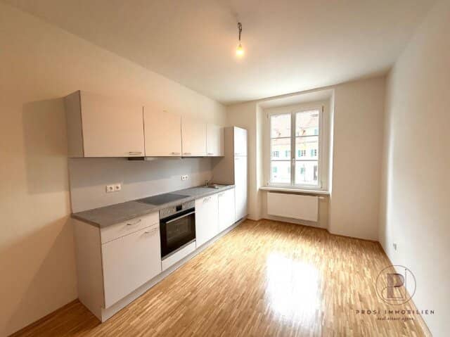 2-room apartment and kitchen (furnished) on the 1st floor at Lendplatz