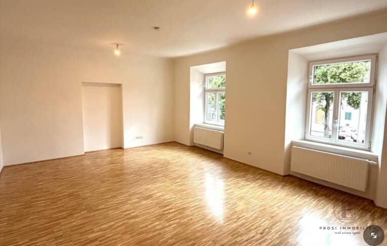 2-room apartment and kitchen (furnished) on the 1st floor at Lendplatz