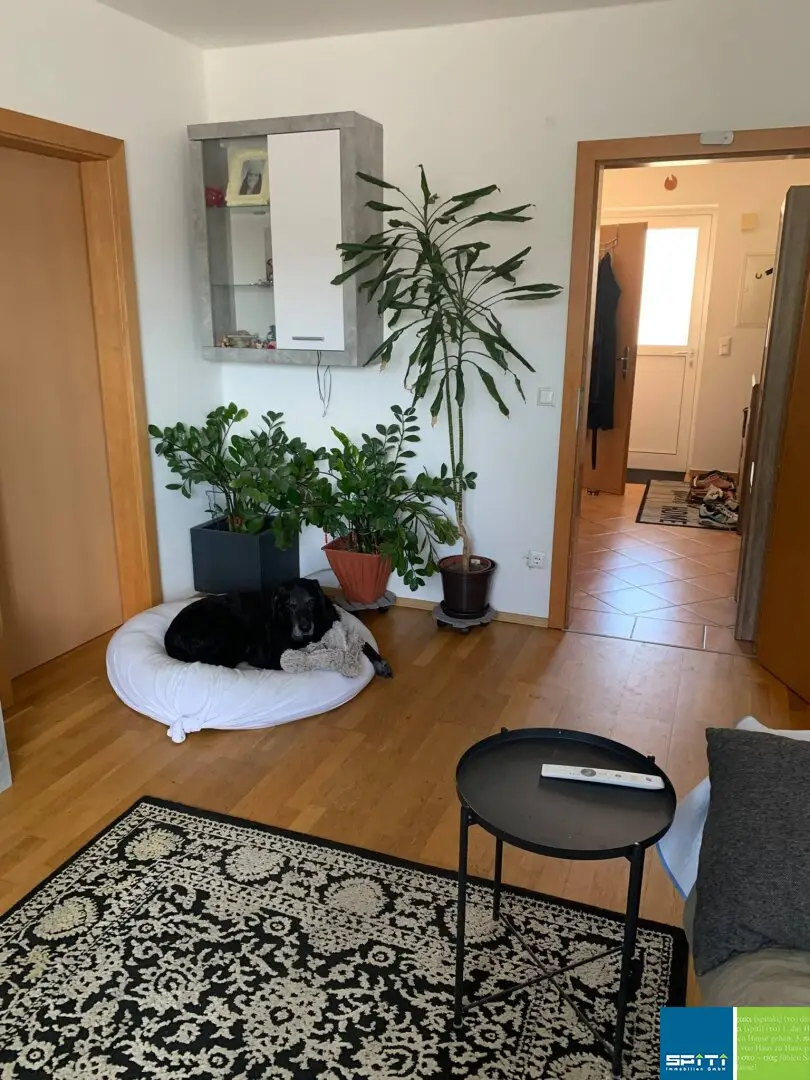 Immobilienbild 2
