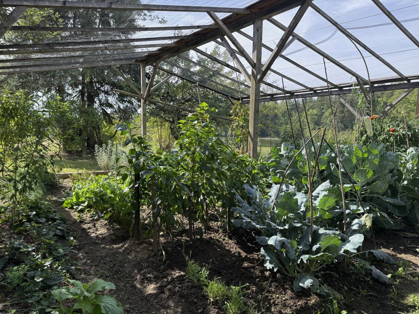 Garden dream - a residential house perfect for a large family - many rooms - huge garden with fruit trees and garden house - double garage and wine cellar