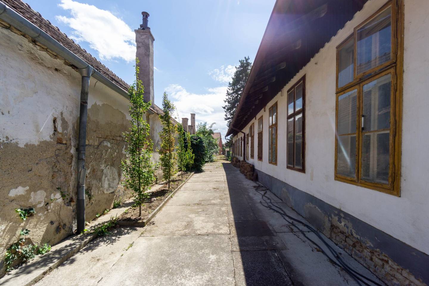 Uriges Stammersdorfer Haus mit großem Grundstück und viel Potenzial