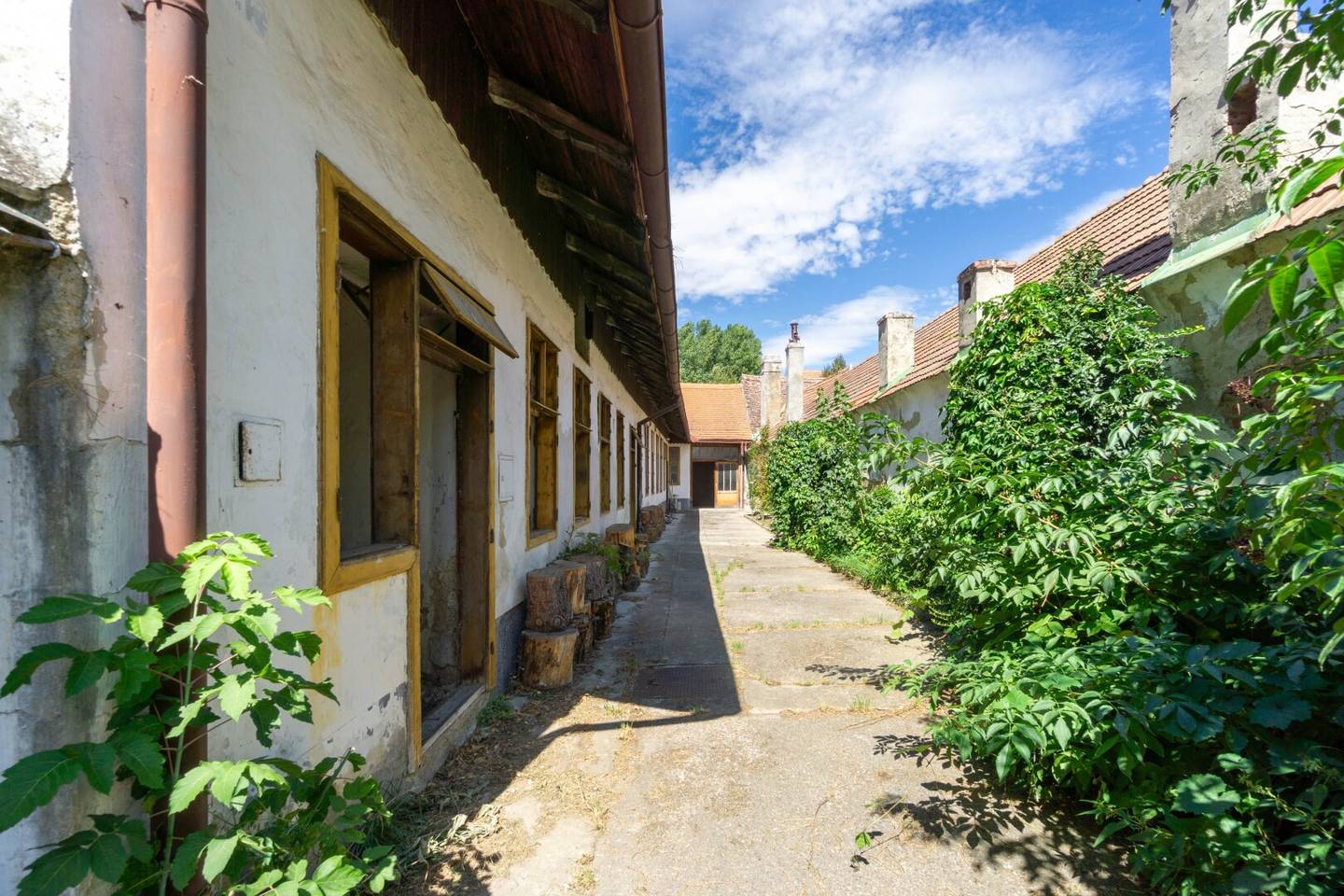 Uriges Stammersdorfer Haus mit großem Grundstück und viel Potenzial