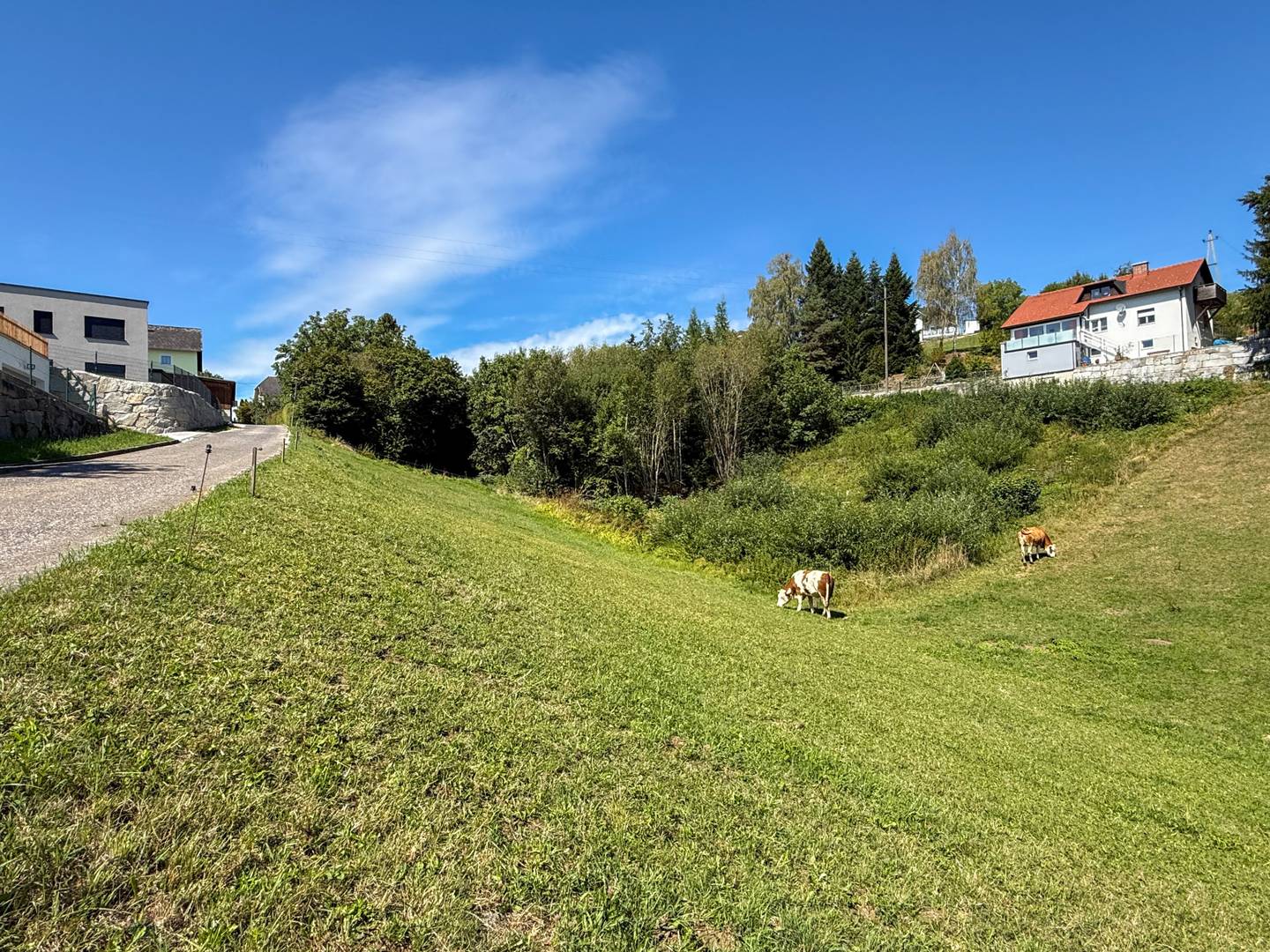 Ruhig gelegene Familienwohnung in Hanglage