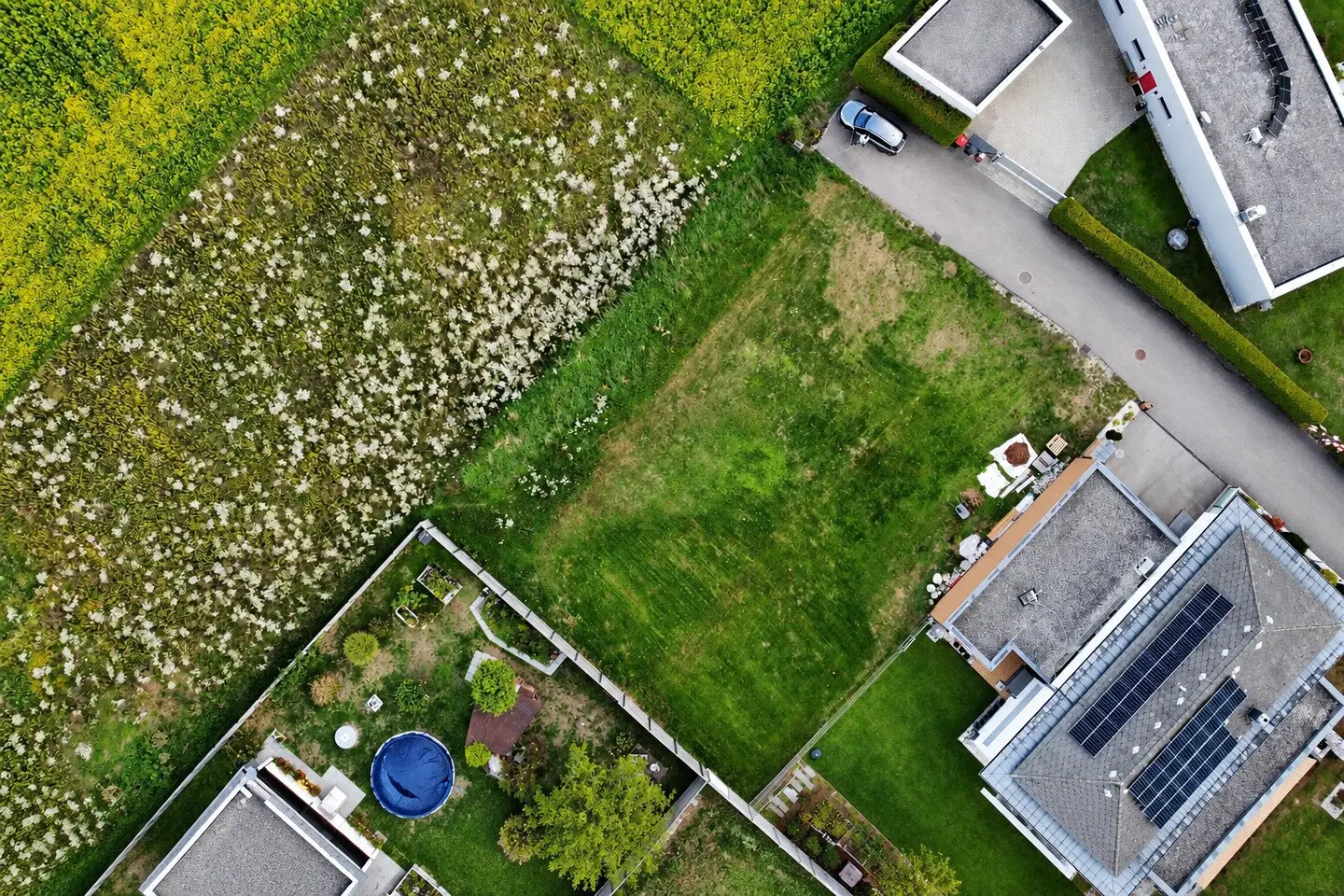 Sonniges Baugrundstück in Marchtrenk – ruhig, naturnah und perfekt für Pendler
