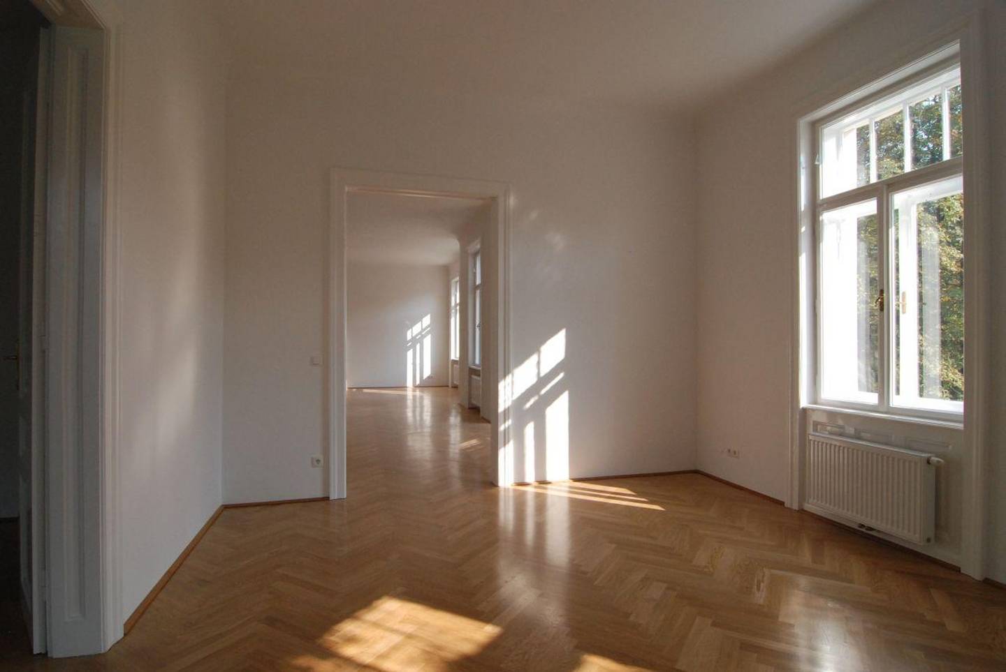 Lichtdurchflutete Altbauwohnung mit südseitigem Salon