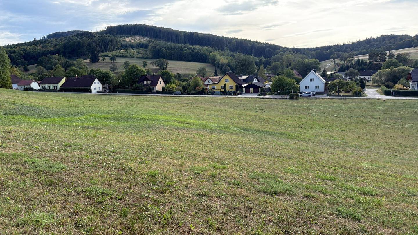 Großzügiges Baugrundstück I 641 m² I in 3143 Pyhra/Wald I ohne Bauzwang I sofort verfügbar