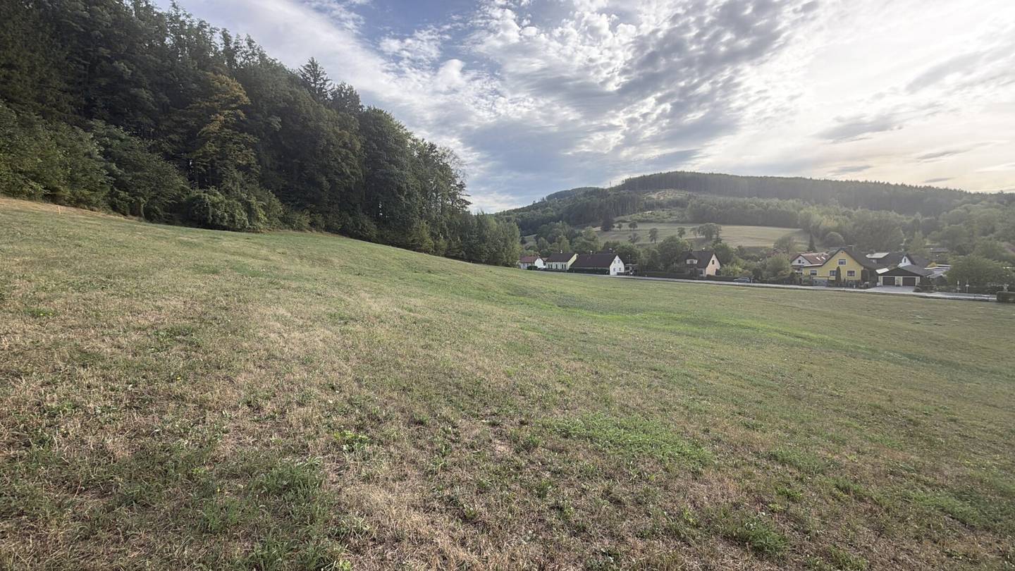 Großzügiges Baugrundstück I 641 m² I in 3143 Pyhra/Wald I ohne Bauzwang I sofort verfügbar