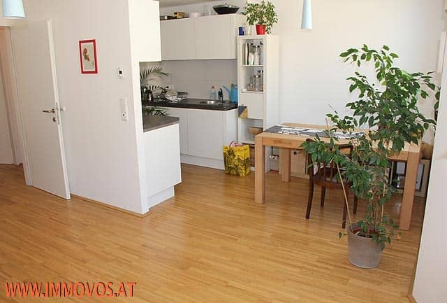 Quiet apartment with balcony and garage