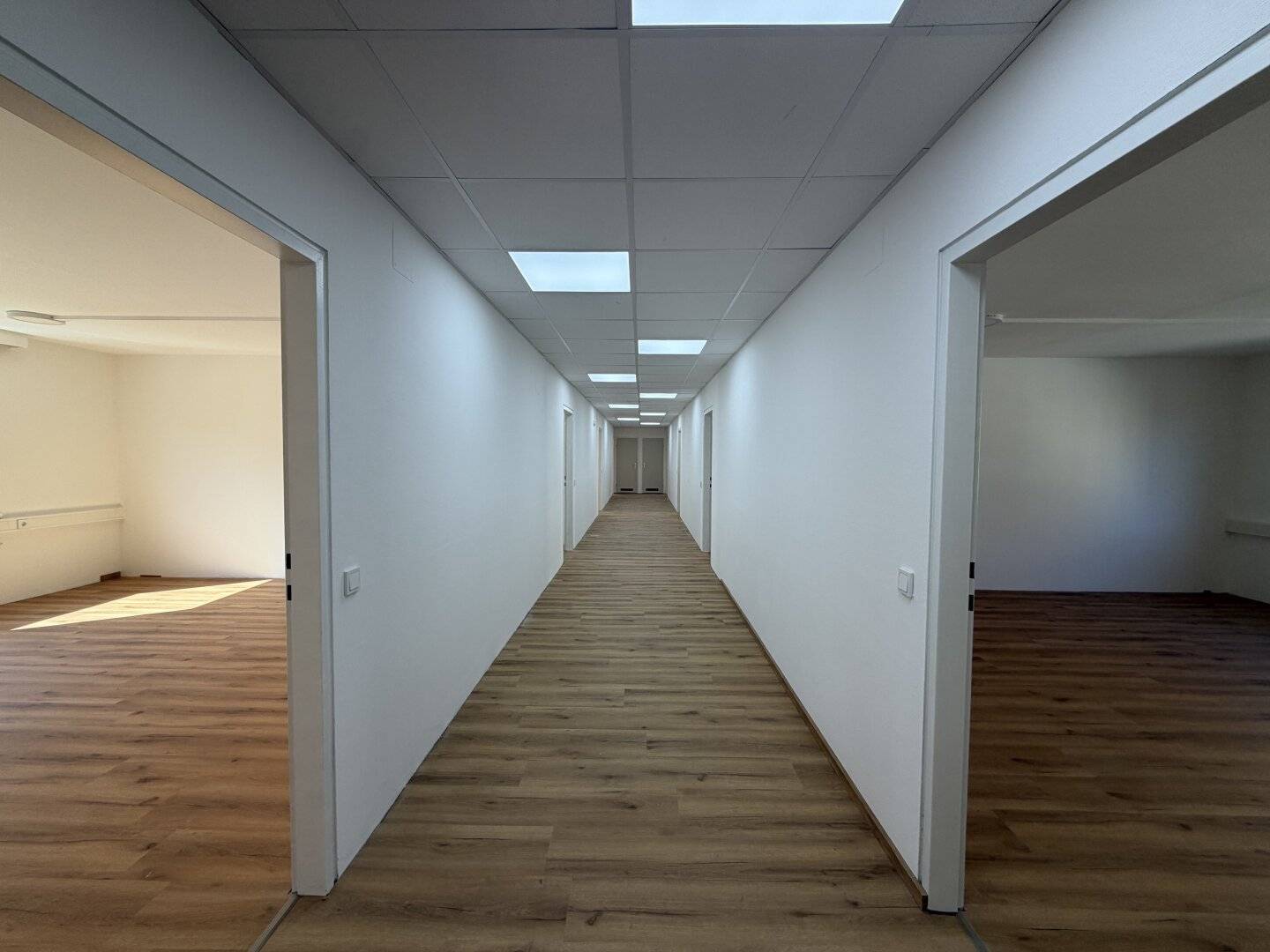 Großzügige Bürofläche – gesamtes Stockwerk – 423 m²
