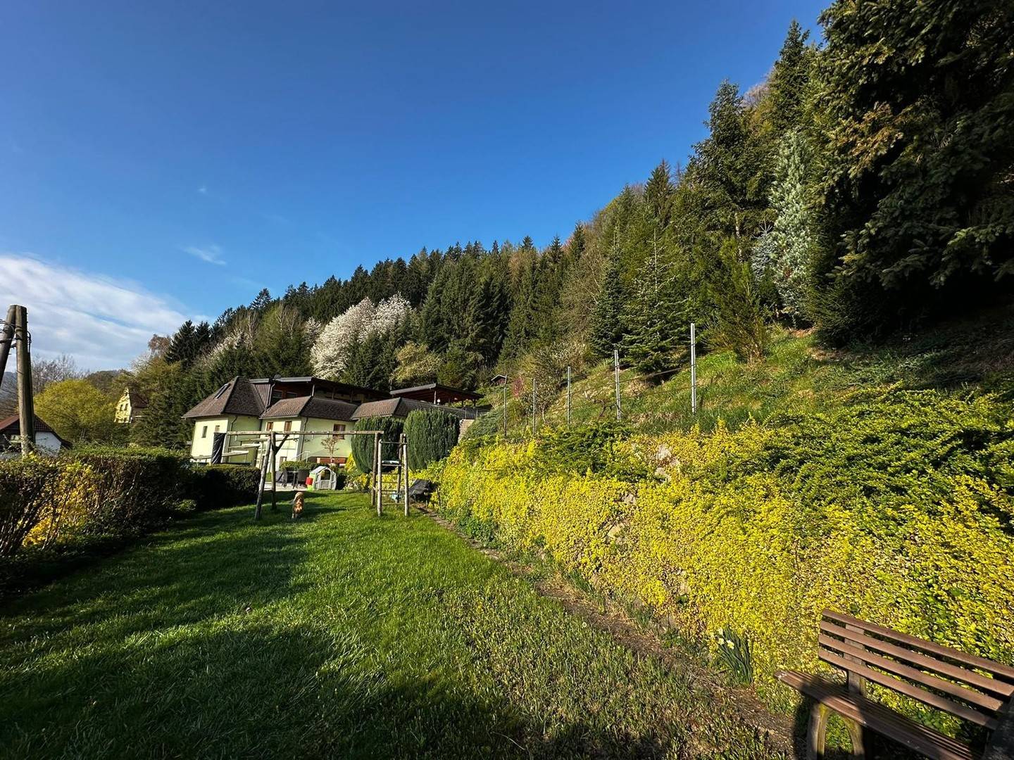 Familienwohnung in parkähnlichem Anwesen mit Burgblick