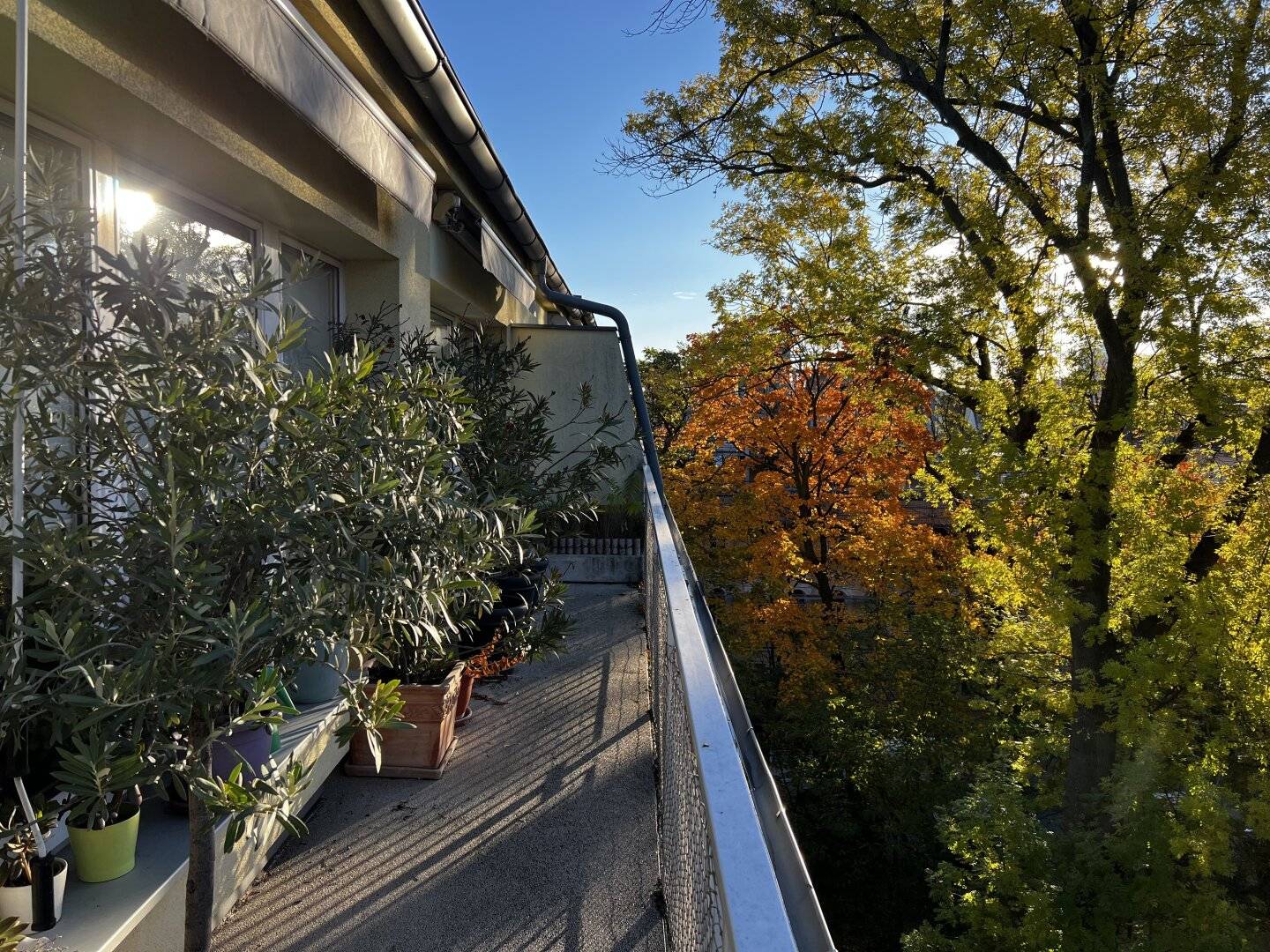 In the middle of greenery and commission free - Great terrace apartment with southwest orientation in private park complex