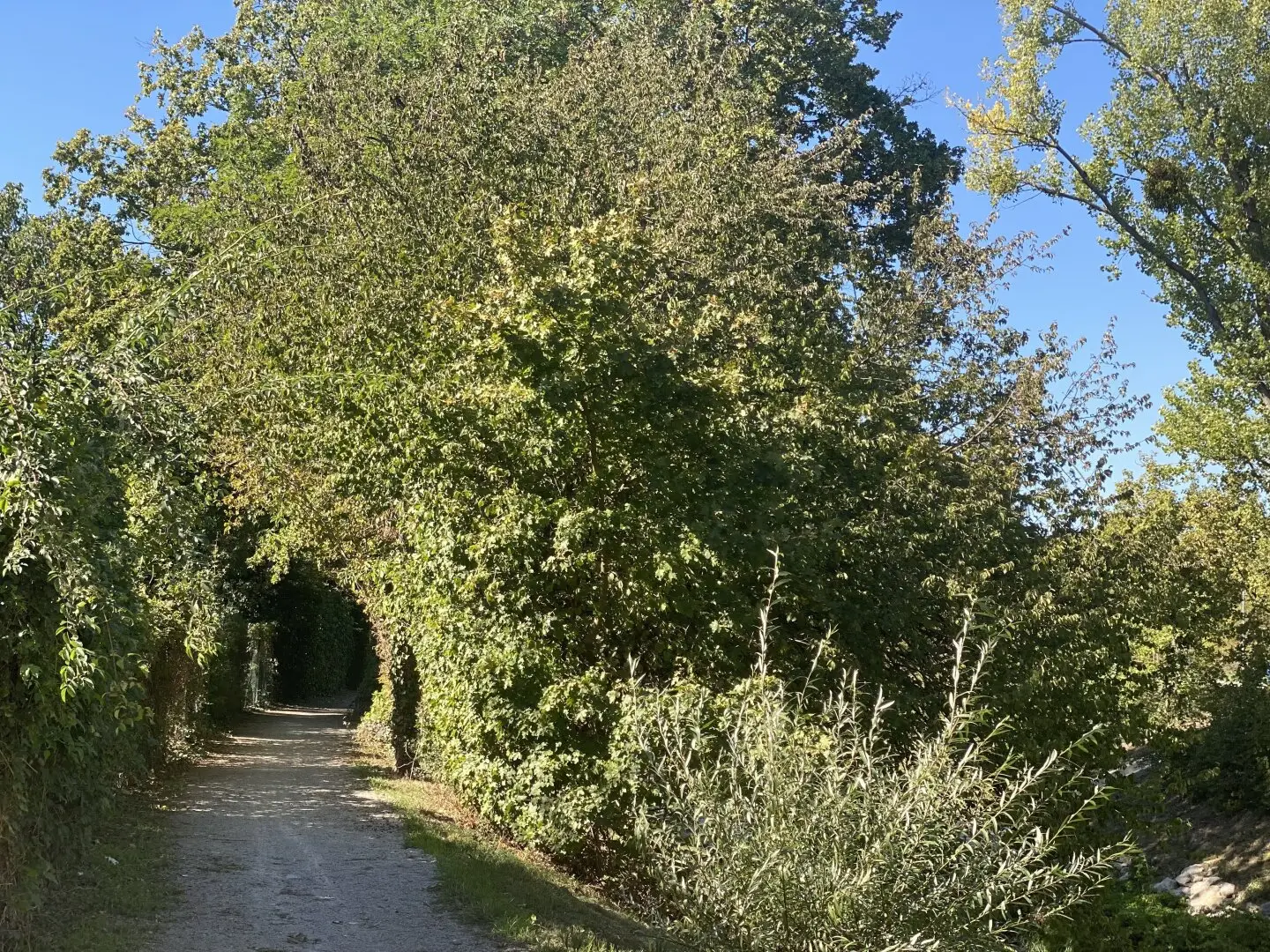 NEW! Green, sporty, relaxed: Your new home on one of Liesing's greenest miles!