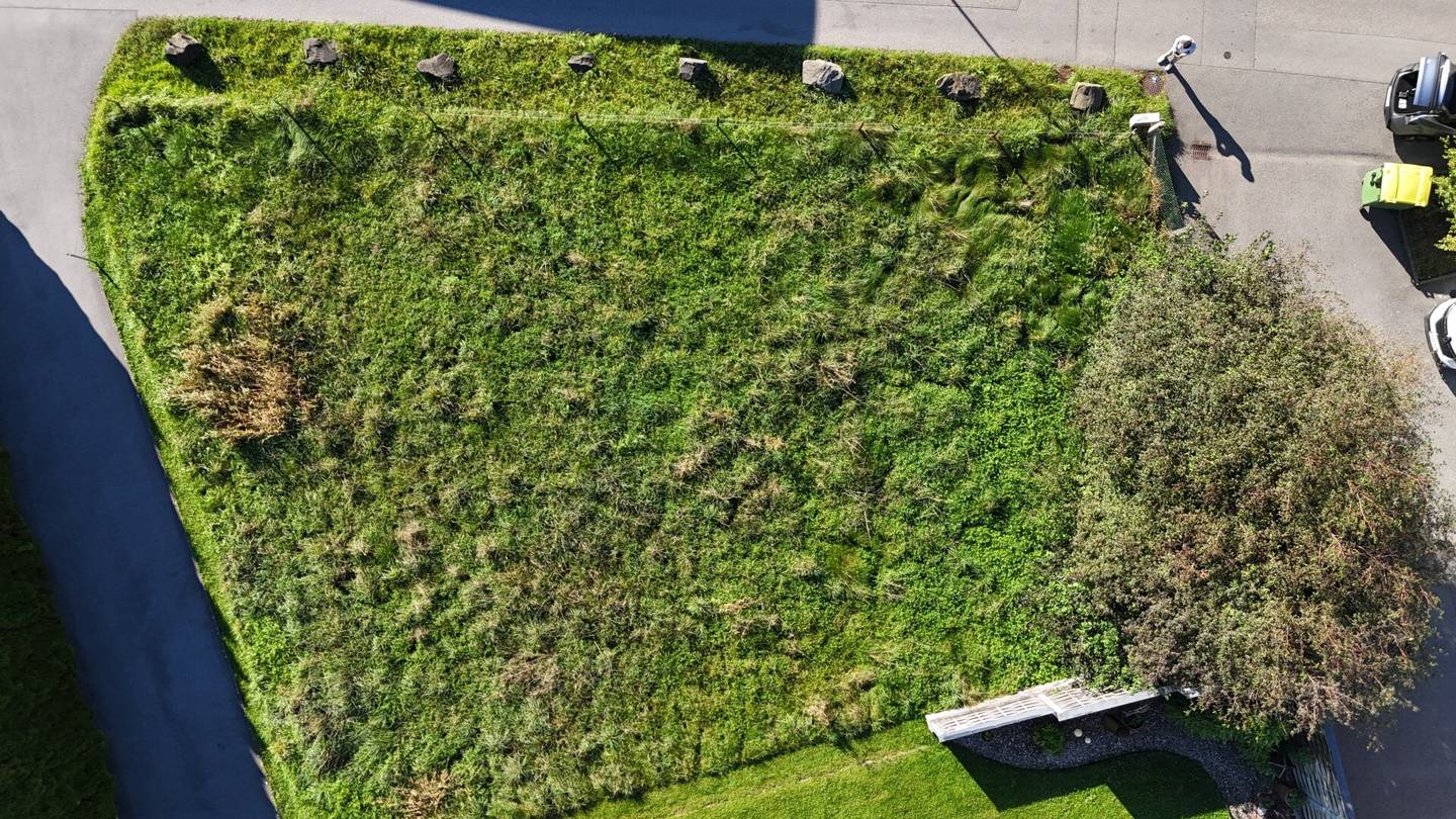 Sonniges Baugrundstück mit Südostausrichtung in Hohenems