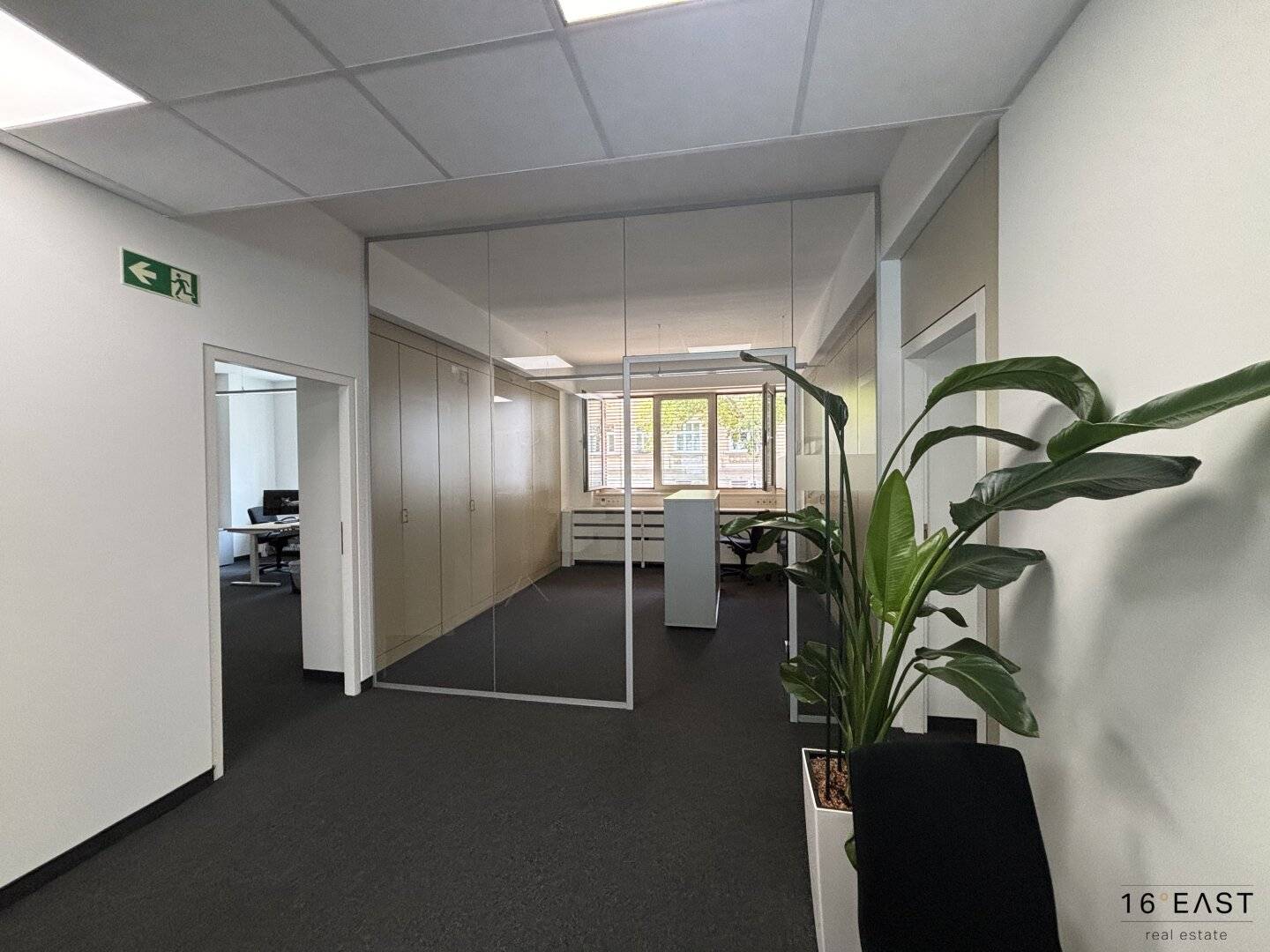 215 m² office floor on 1st floor, light-filled rooms