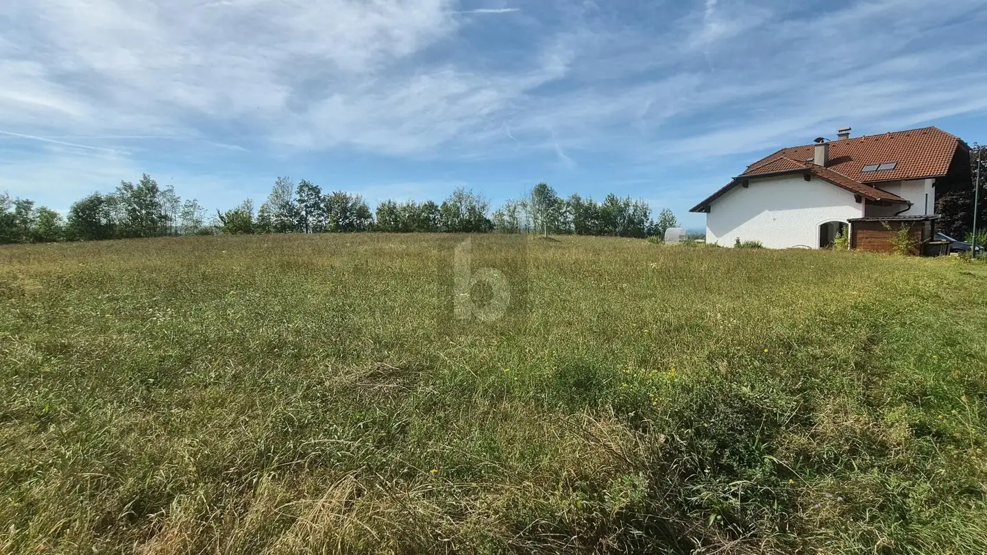 Ferienwohnung in naturnaher Grünoase nahe Auseen