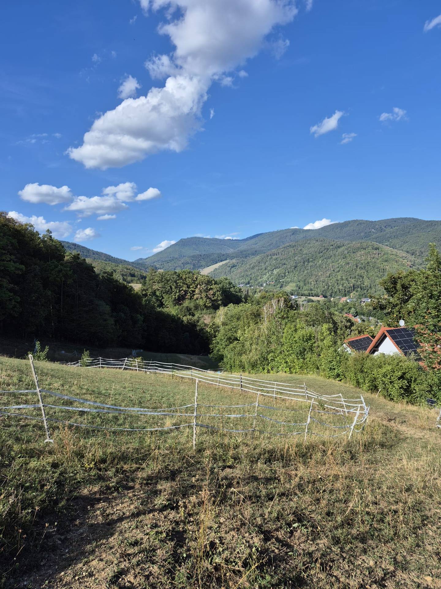 Building plot close to nature with Schöckl view Anlegerwohnung