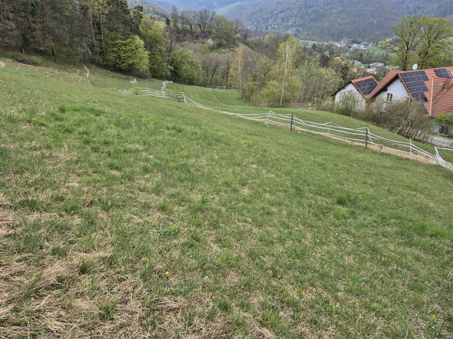 Building plot close to nature with Schöckl view Anlegerwohnung