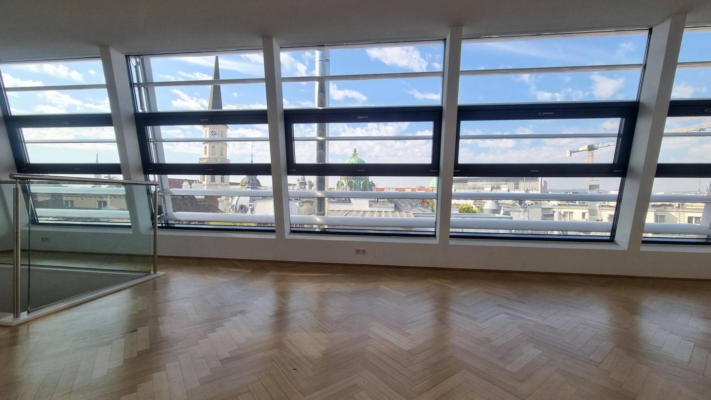 Dachgeschosswohnung with roof terrace at Kohlmarkt