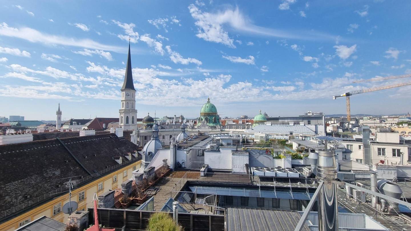 Dachgeschosswohnung with roof terrace at Kohlmarkt