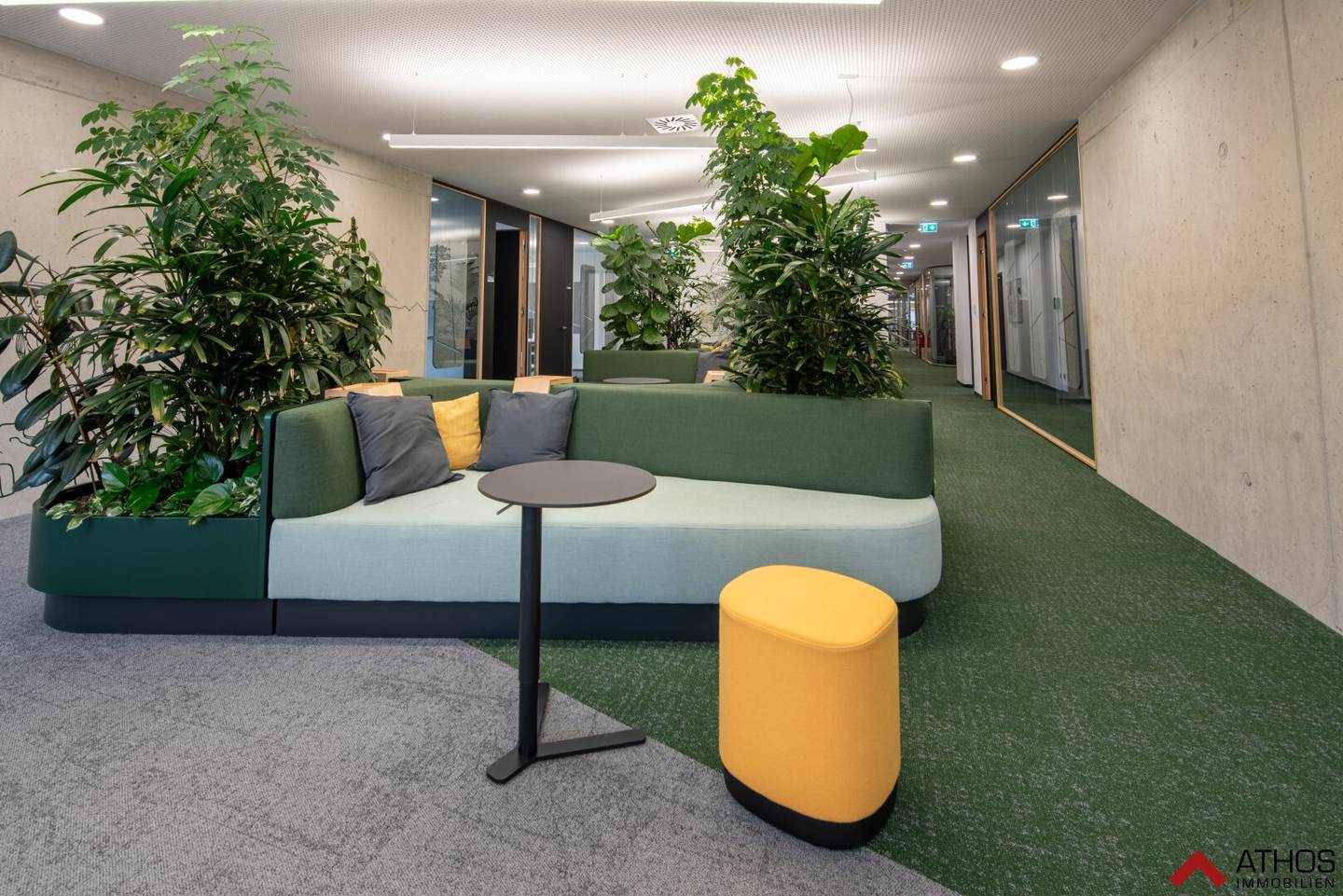 Top B2 Grünwinkel Urfahr - Großzügige Bürofläche mit innenarchitektonischen Highlights