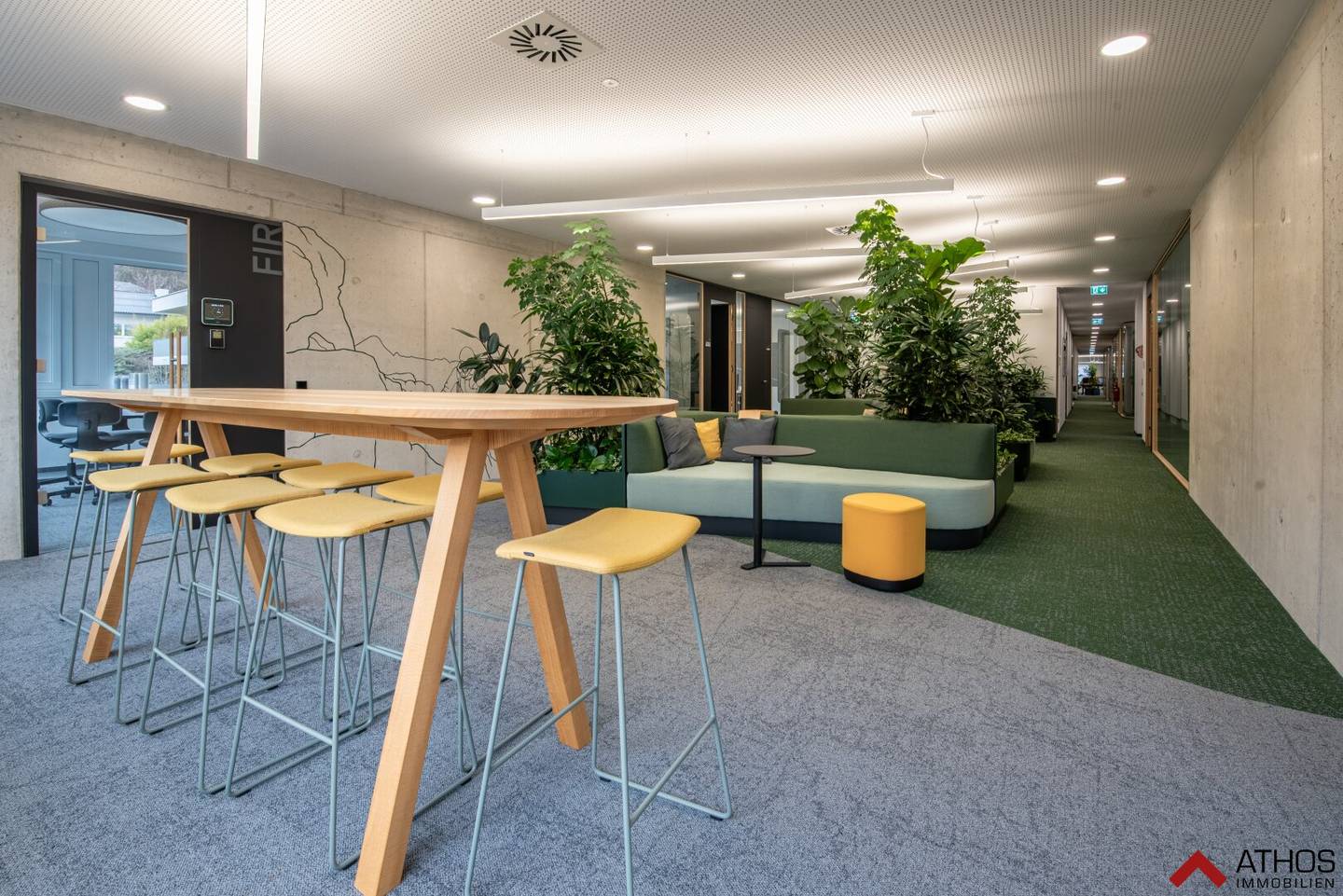 Top B2 Grünwinkel Urfahr - Großzügige Bürofläche mit innenarchitektonischen Highlights